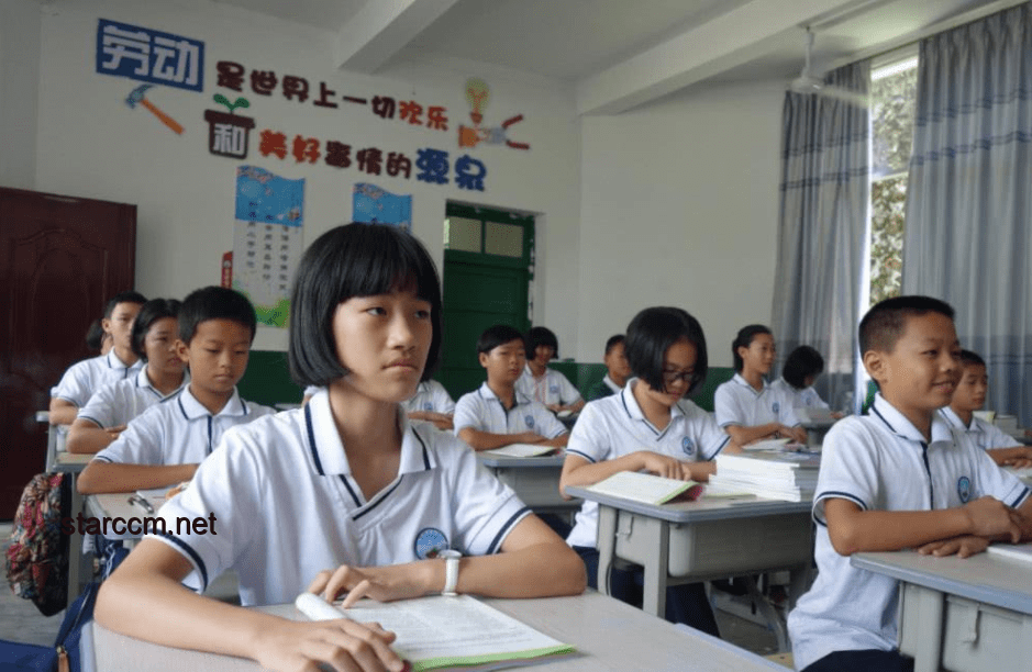 考650分学生当老师3年再高考：教育循环与个人成长的探索
